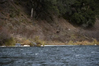 DSC_0194 (Large).JPG